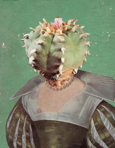 11986191073_3167a824df_z