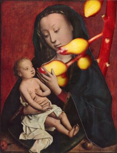 13192513013_284ce278de_z