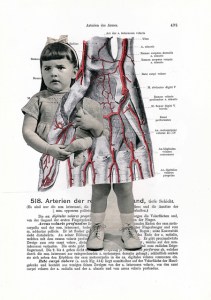 14133817482_3a6552eab3_z