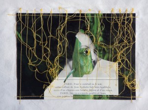 15759494614_5cb9202199_z