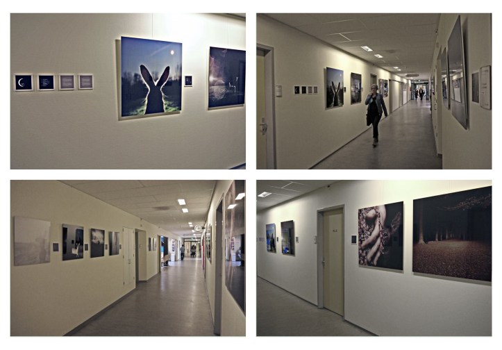 exhibition bergen op zoom