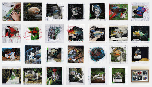 sirènes, album on flickr