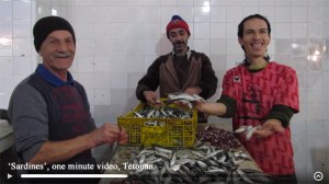 Sardines - oneminute video