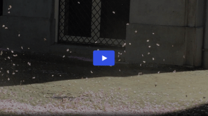 Schermafbeelding 2016-05-11 om 11.19.12