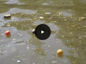 schermafbeelding-2016-10-11-om-16-07-37