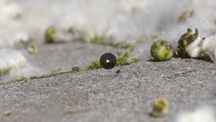 Schermafbeelding 2016-11-18 om 22.10.52.png