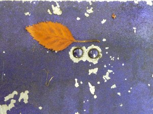 6333766603_afb66a2c77_b