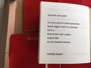 16806904_10208289018284929_6374735131417694448_n