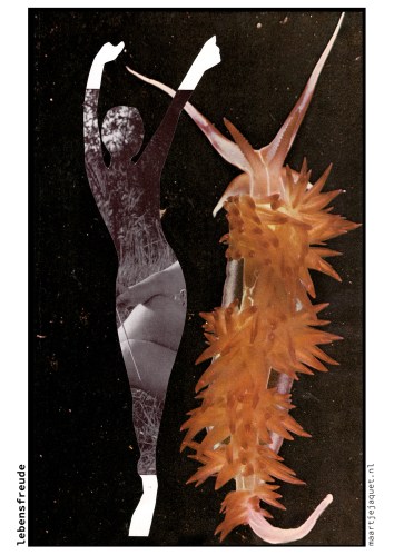 Lebensfreude kaart.jpg