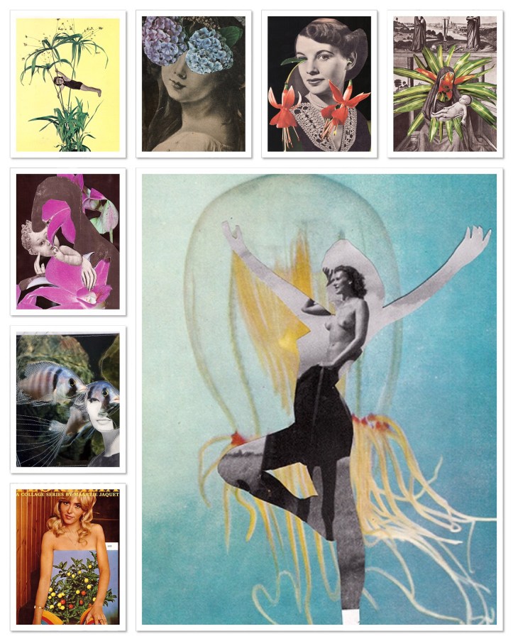 46545300854_66428c6afc_k