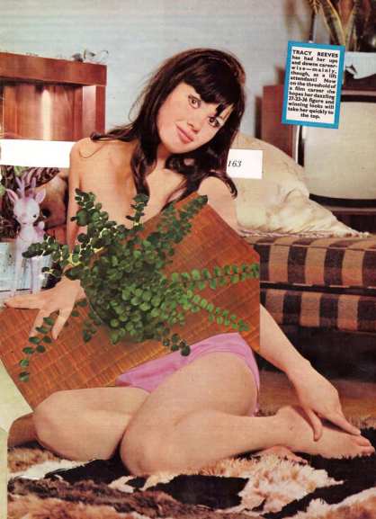 Pellaea Rotundifolia 163.jpg